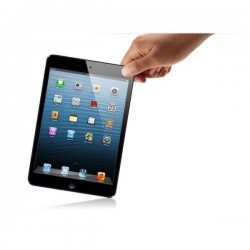 iPad Mini + Cellular